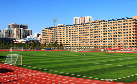 混合型展示图1